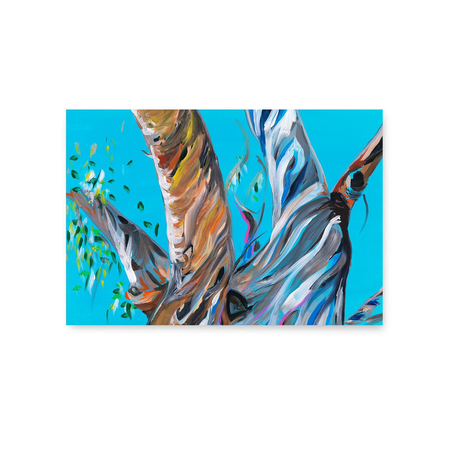 Blue Gum - Fine Art Print