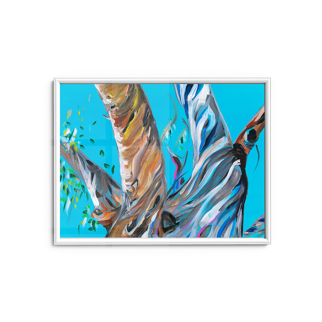 Blue Gum - Fine Art Print