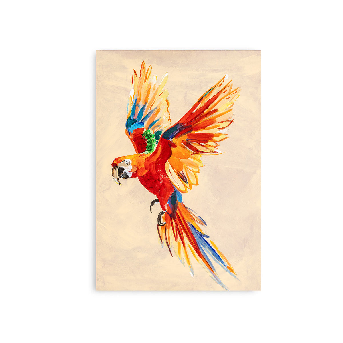 Macaw Parrot - Canvas