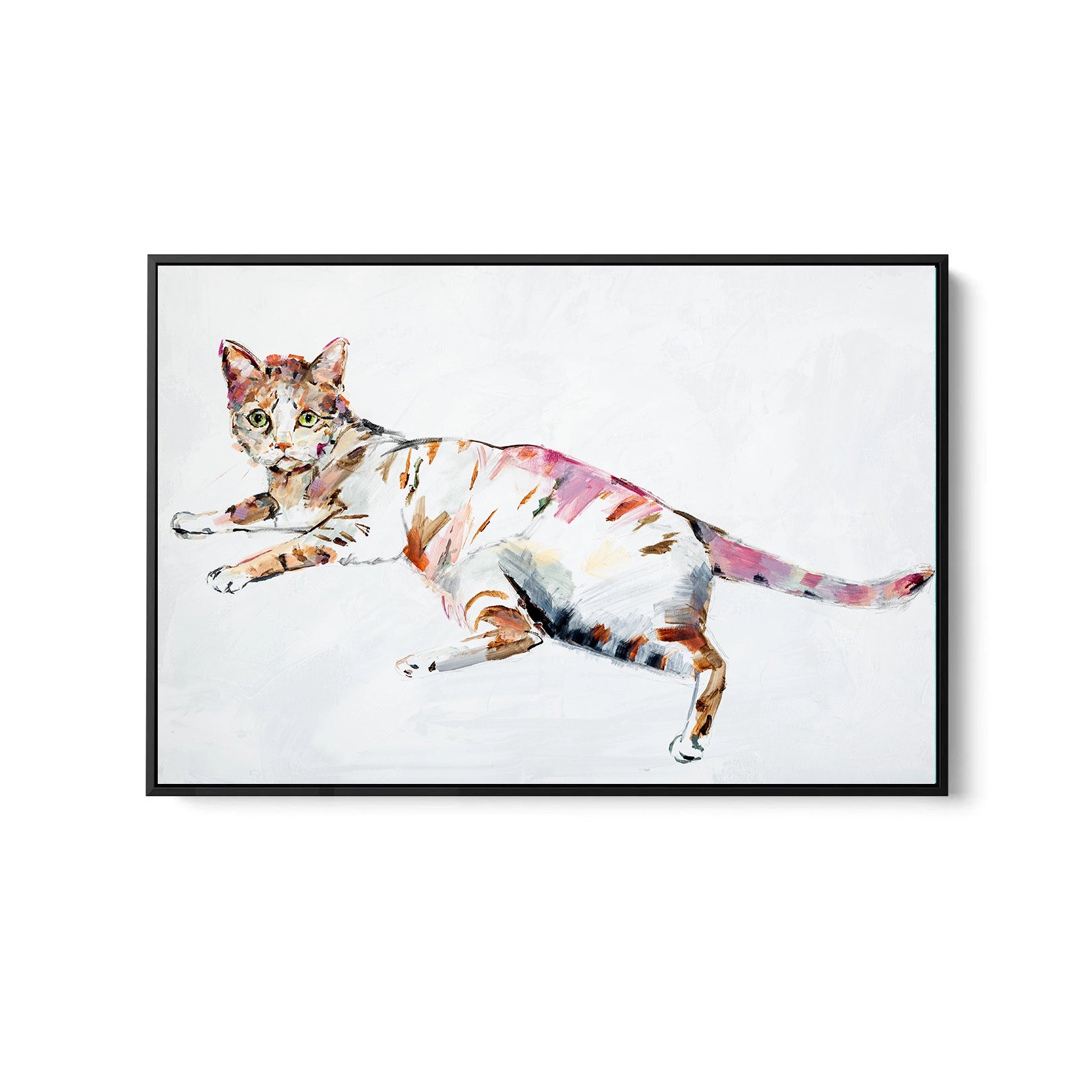 Cat - Canvas