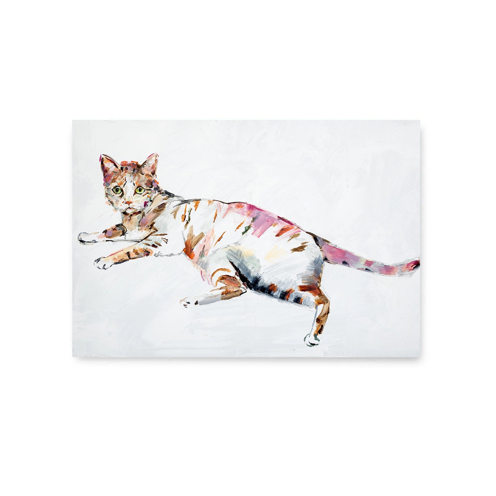 Cat - Fine Art Print