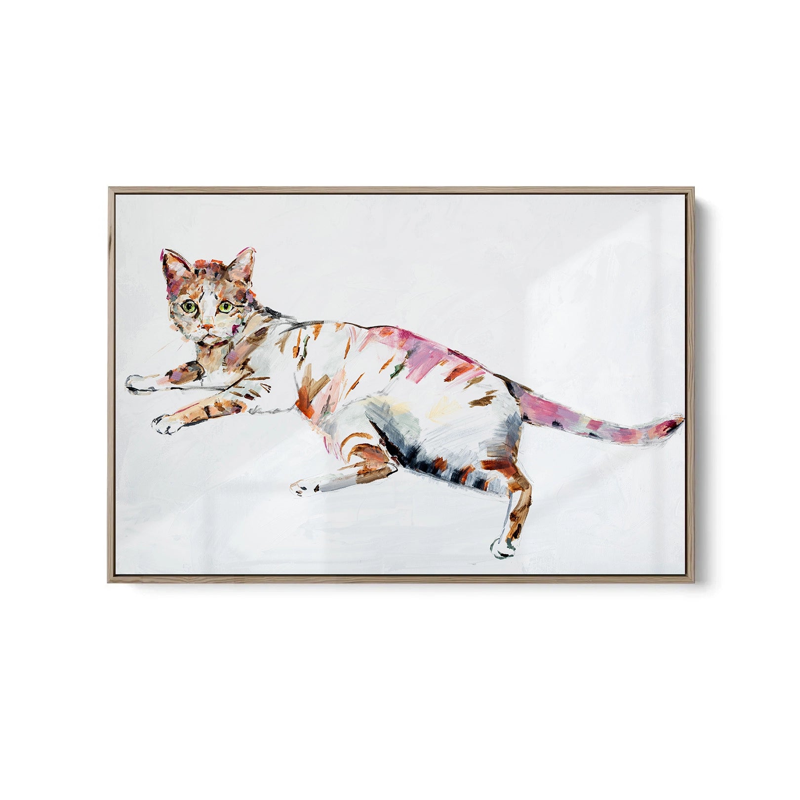 Cat - Fine Art Print