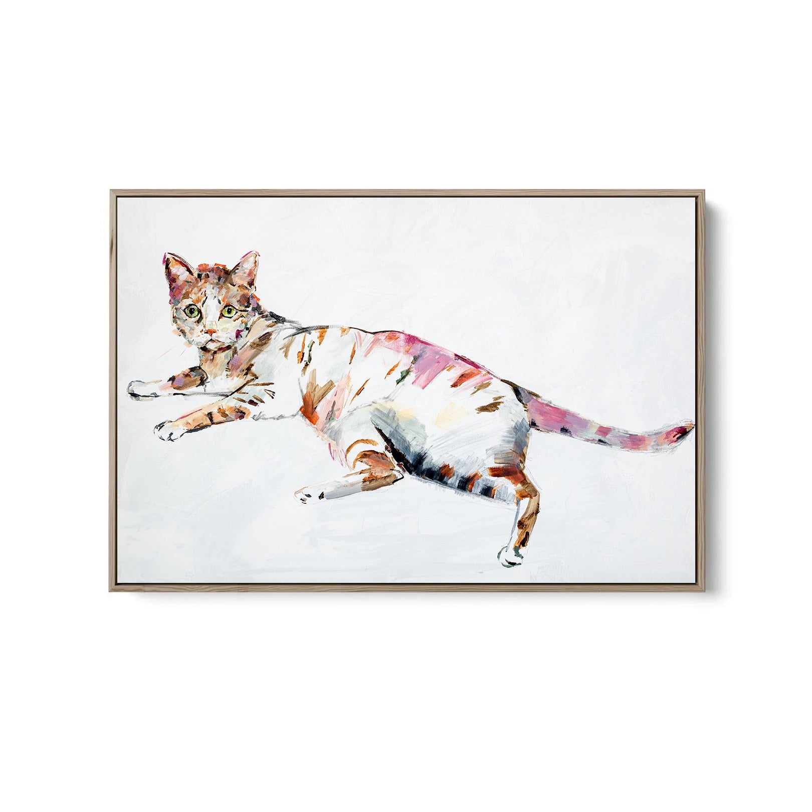Cat - Canvas