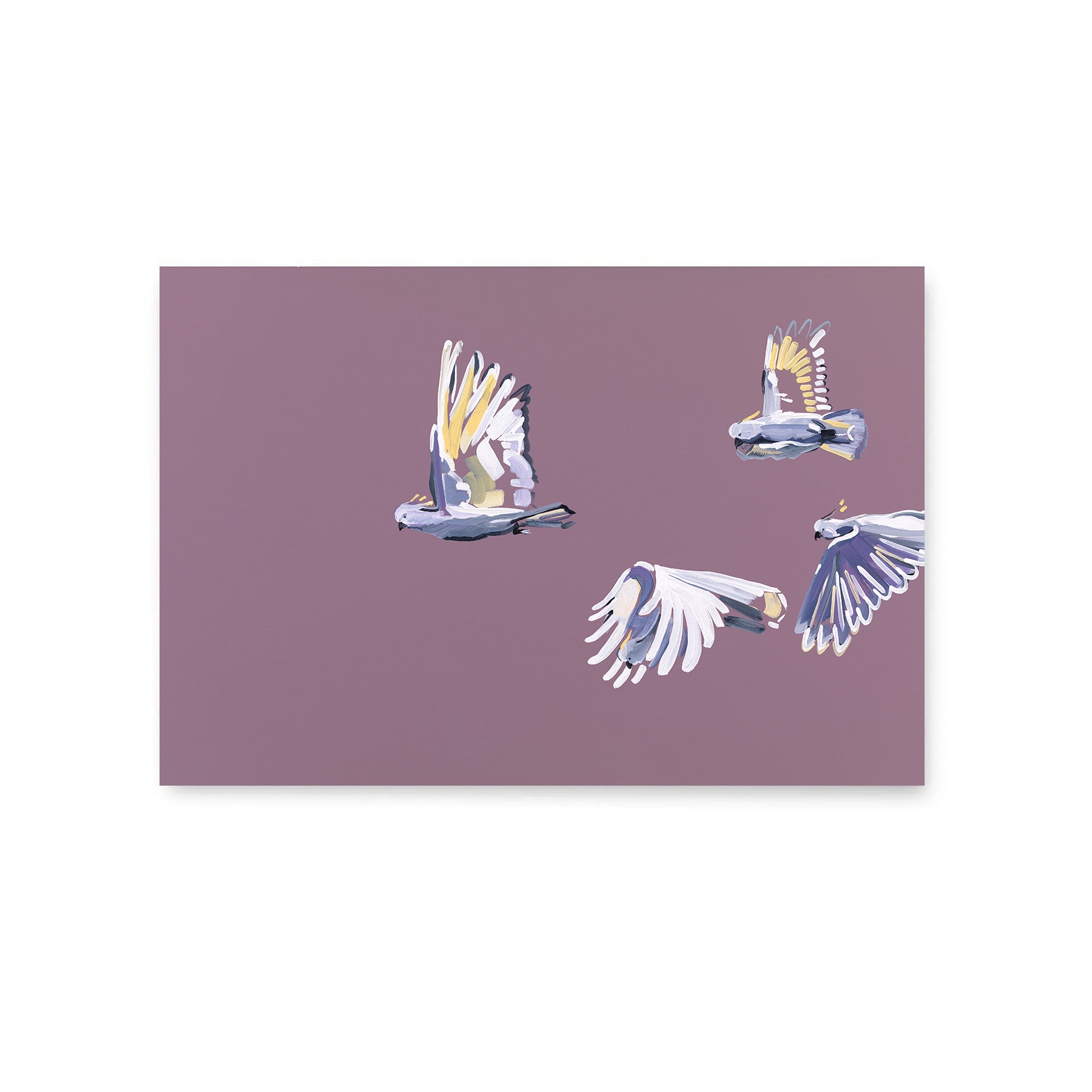 Cockatoo - Fine Art Print