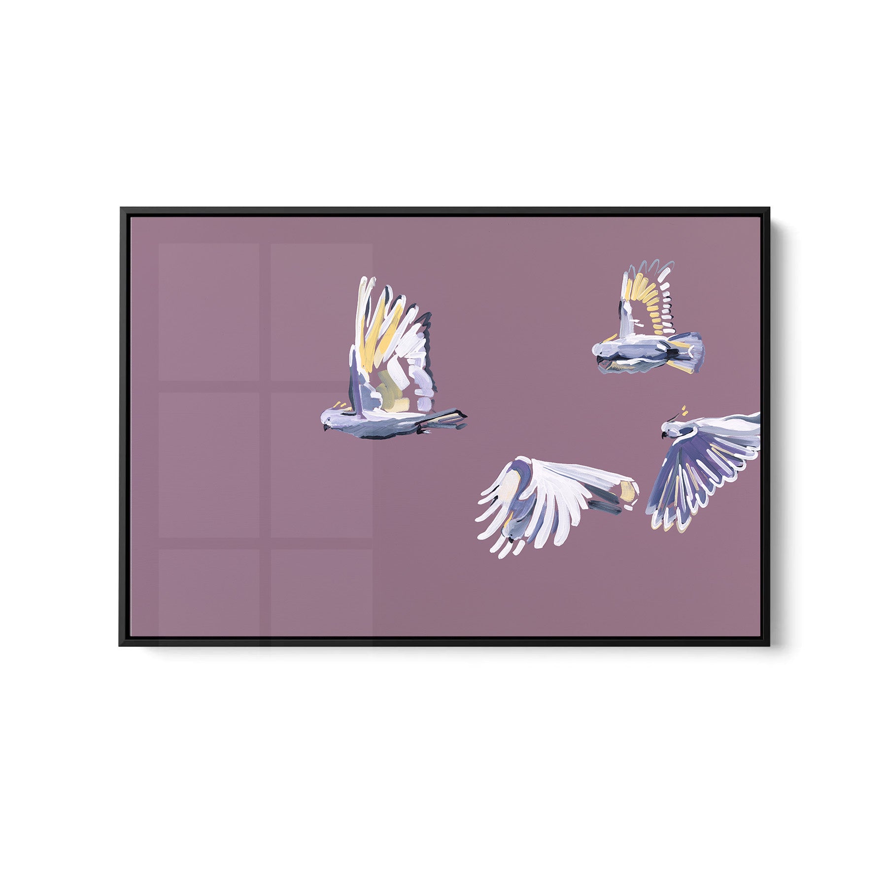 Cockatoo - Fine Art Print