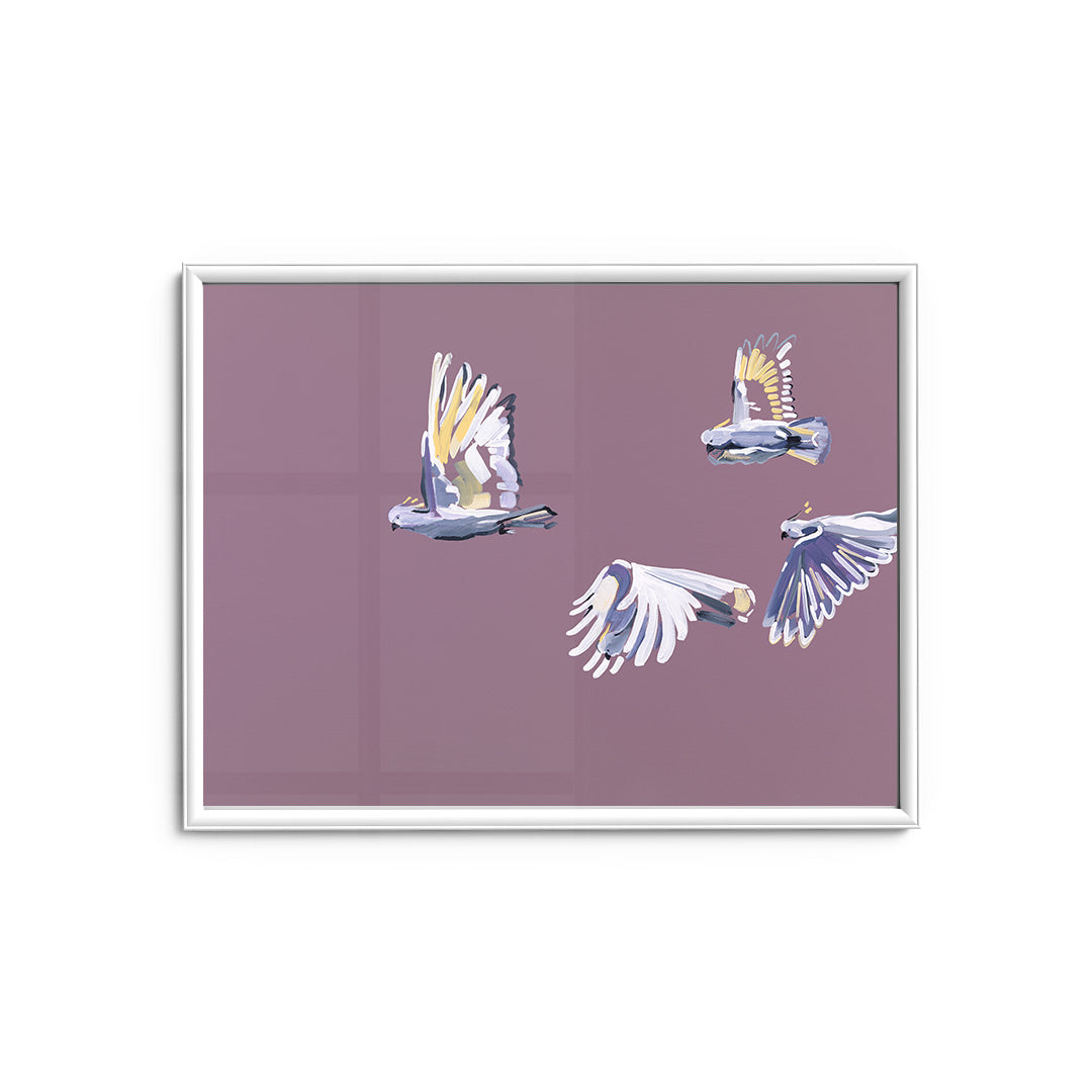 Cockatoo - Fine Art Print