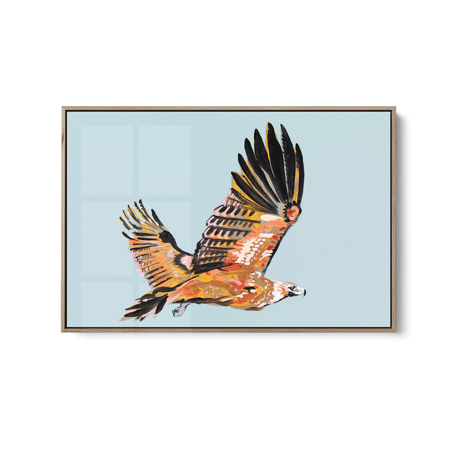 Wedge-tailed Eagle - Fine Art Print