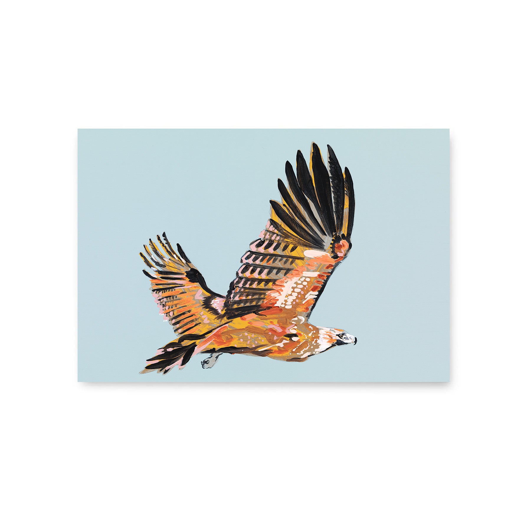 Wedge-tailed Eagle - Fine Art Print
