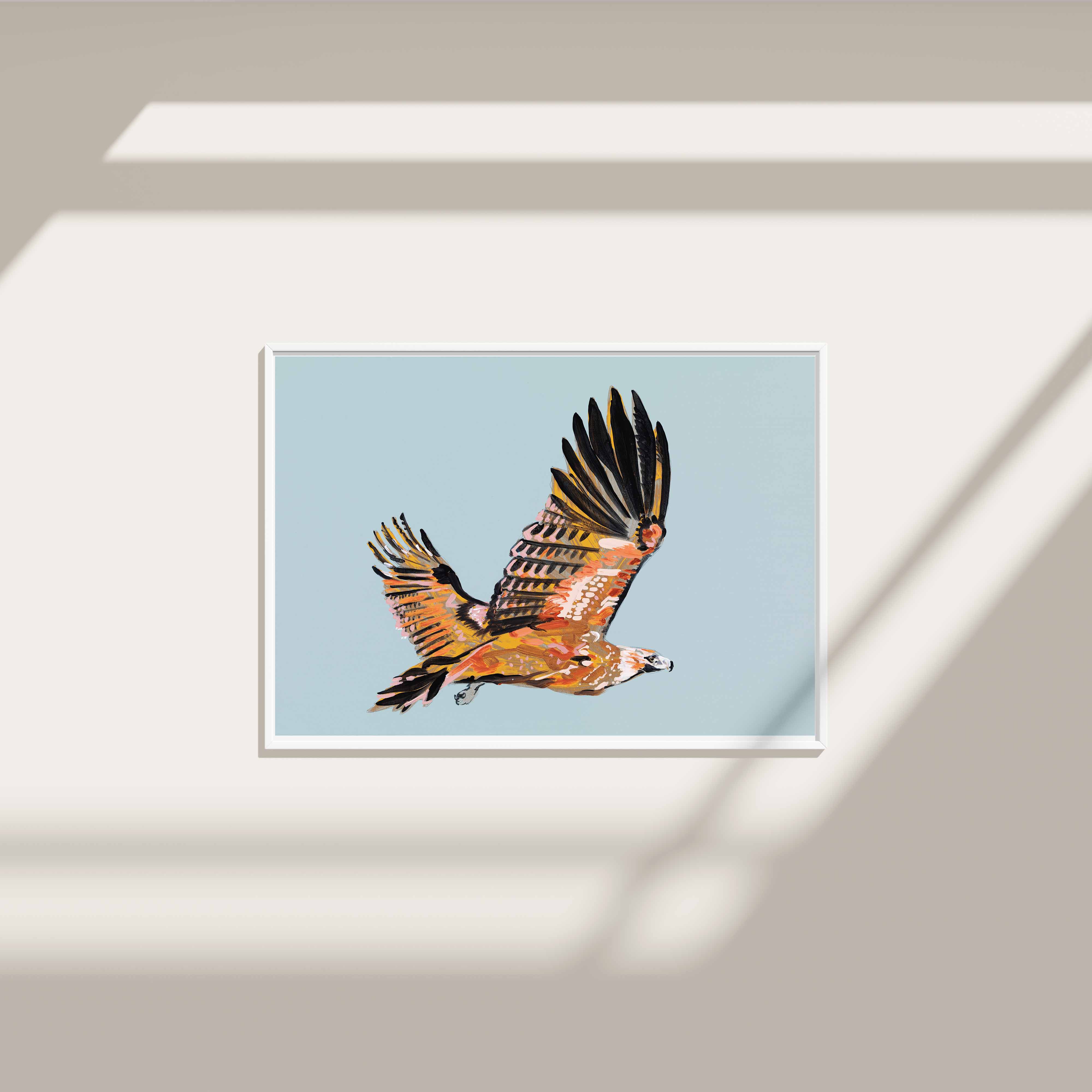 Wedge-tailed Eagle - Fine Art Print