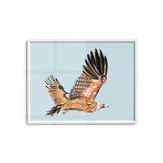 Wedge-tailed Eagle - Fine Art Print