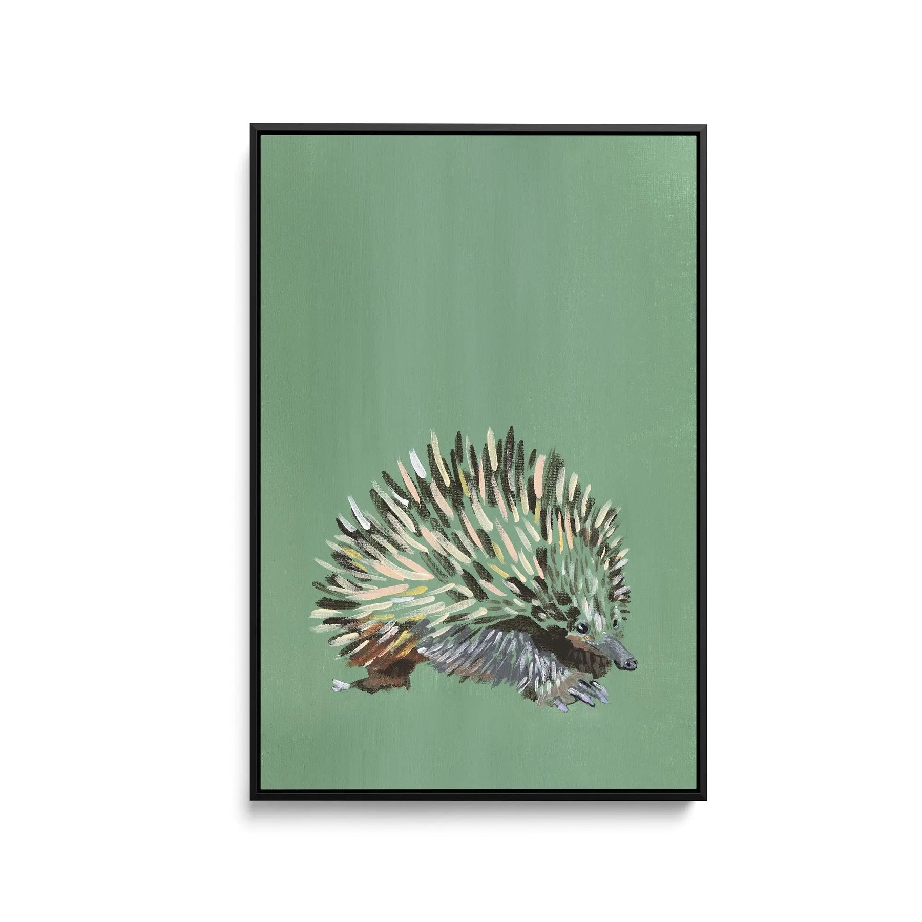 Echidna - Canvas