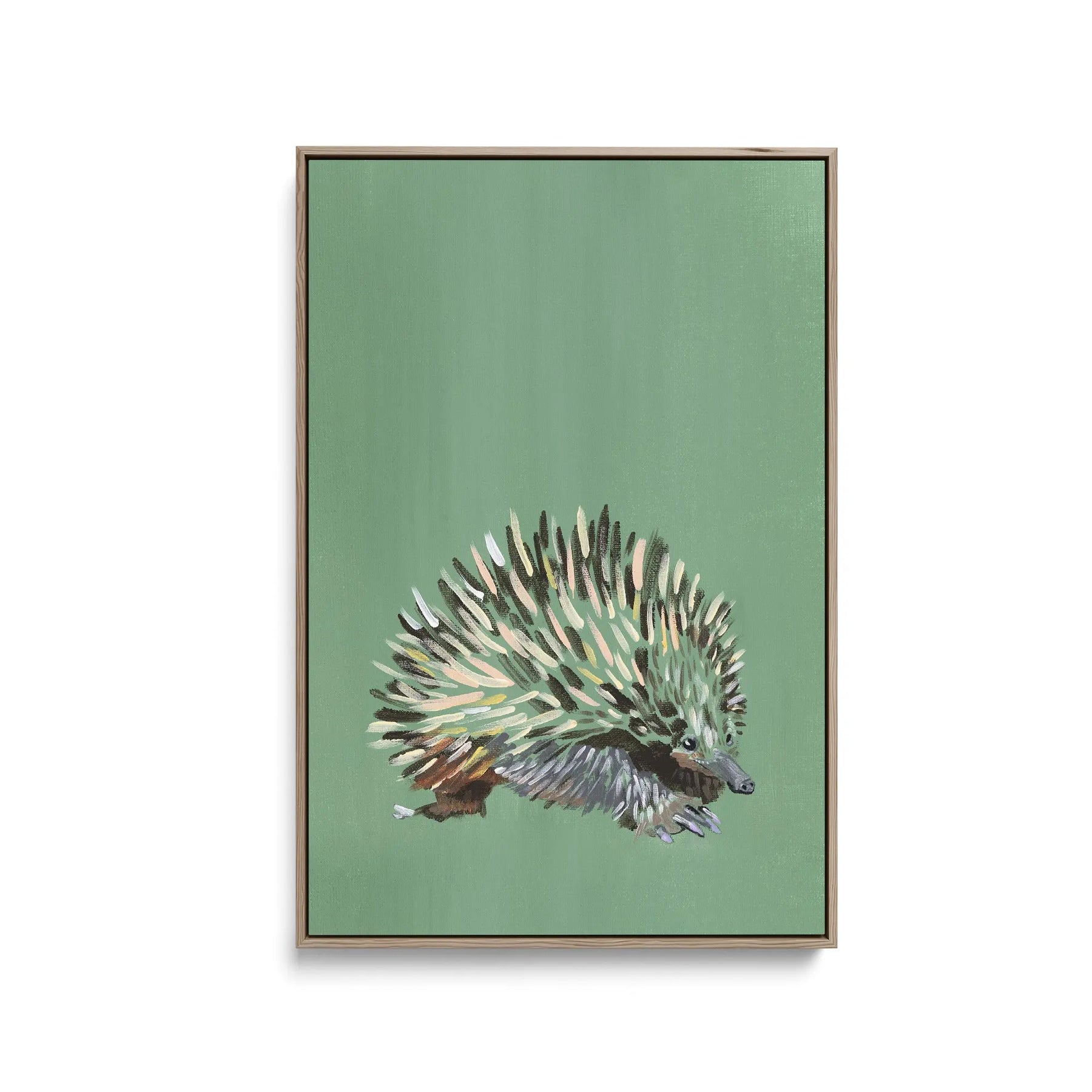 Echidna - Canvas