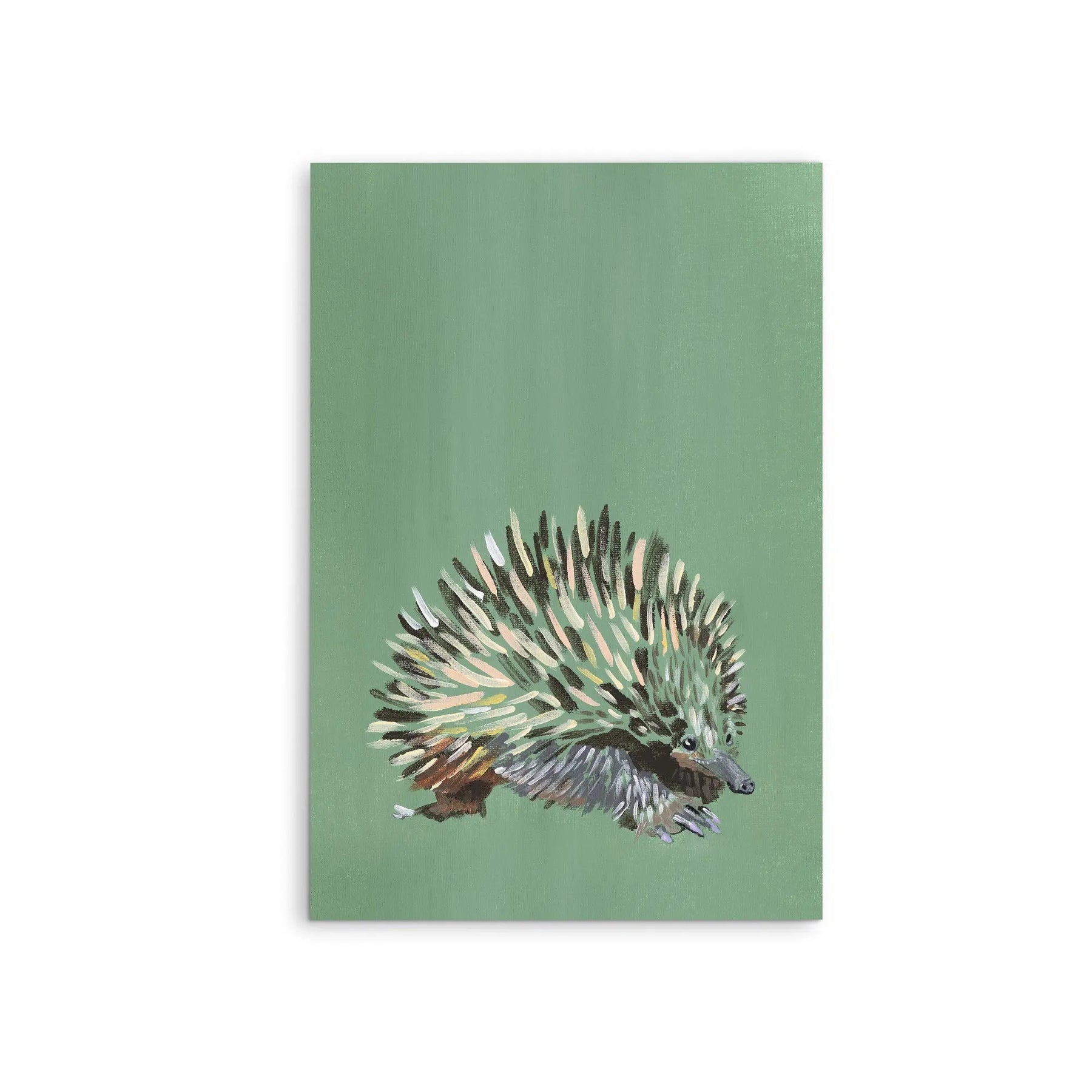 Echidna - Canvas