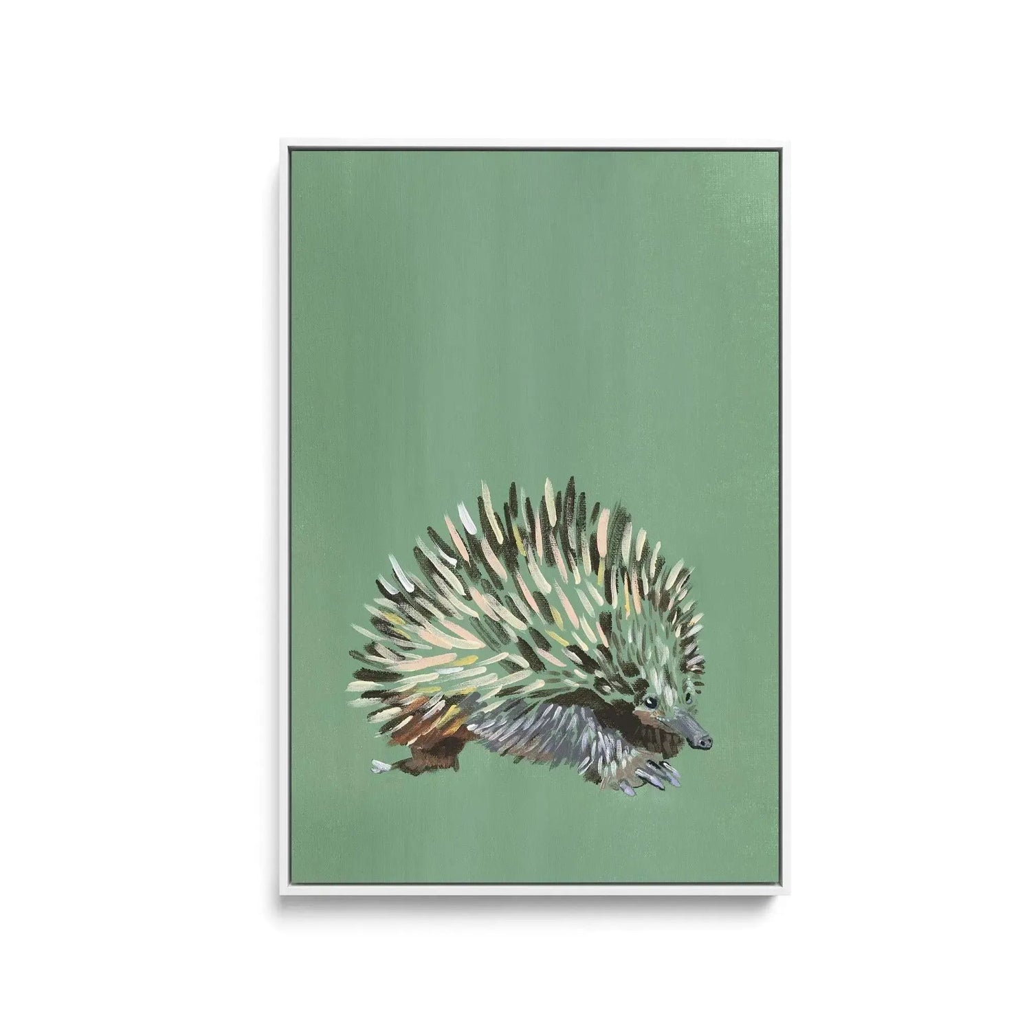 Echidna - Canvas