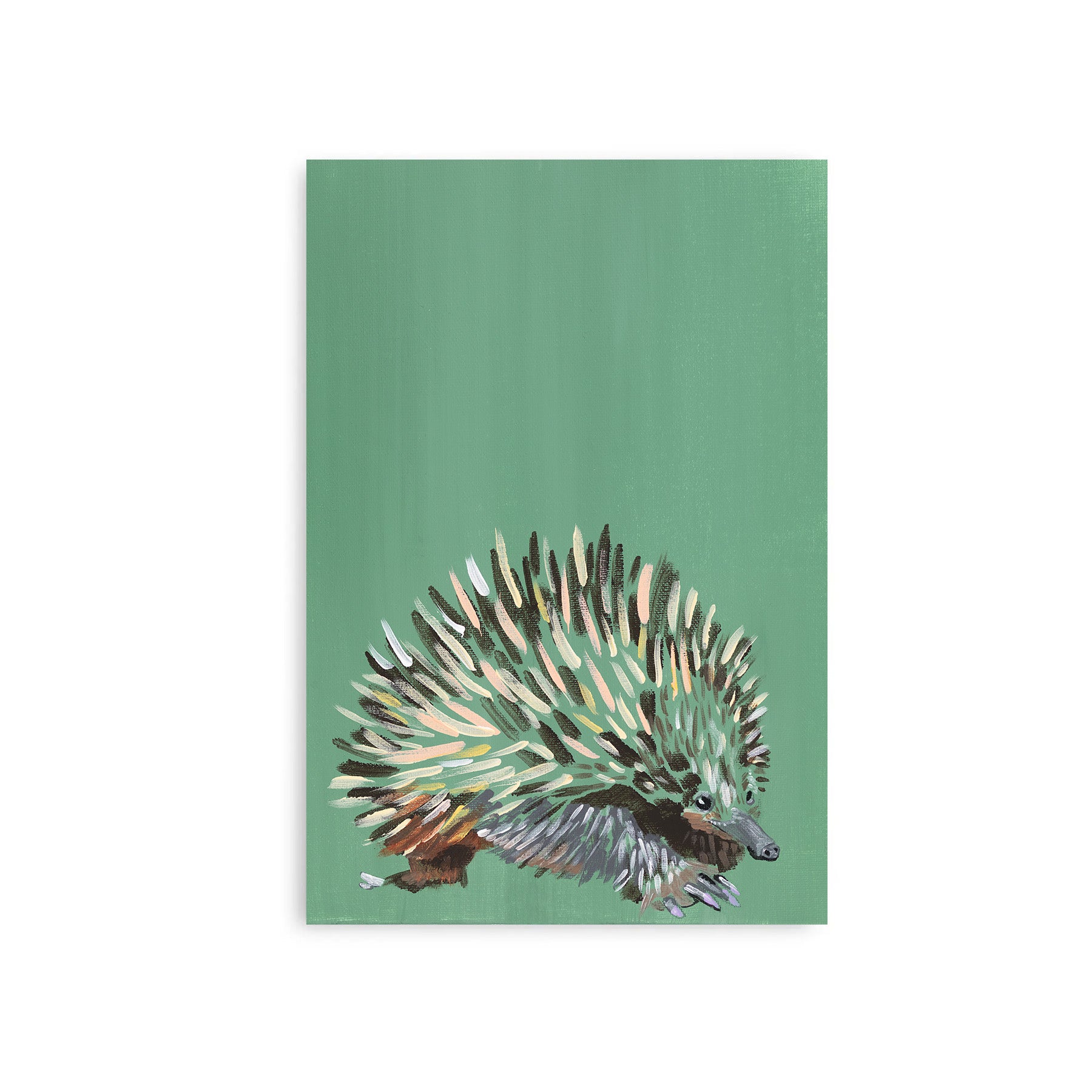 Echidna - Fine Art Print