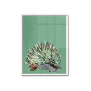 Echidna - Fine Art Print