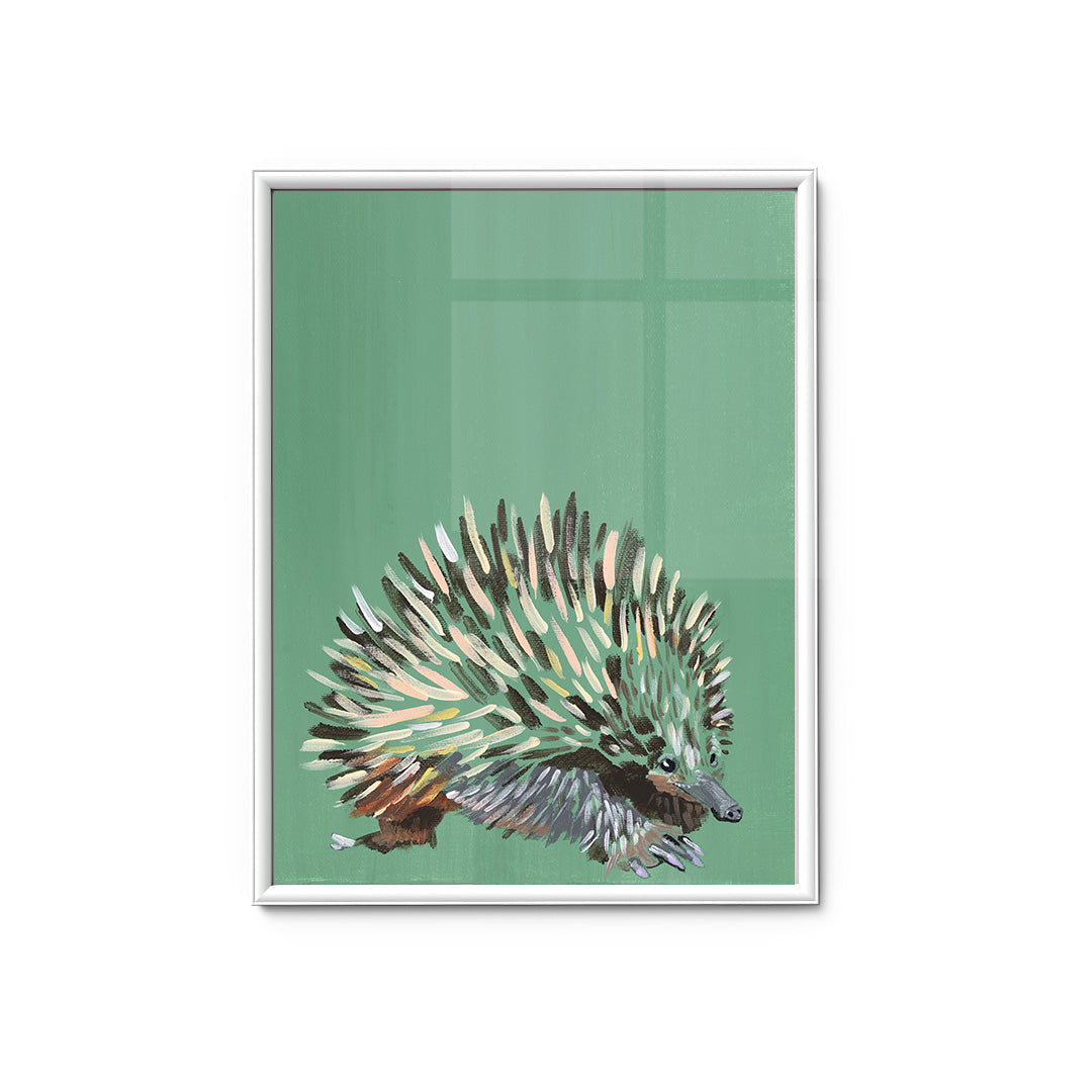 Echidna - Fine Art Print