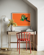 King Parrot - Fine Art Print