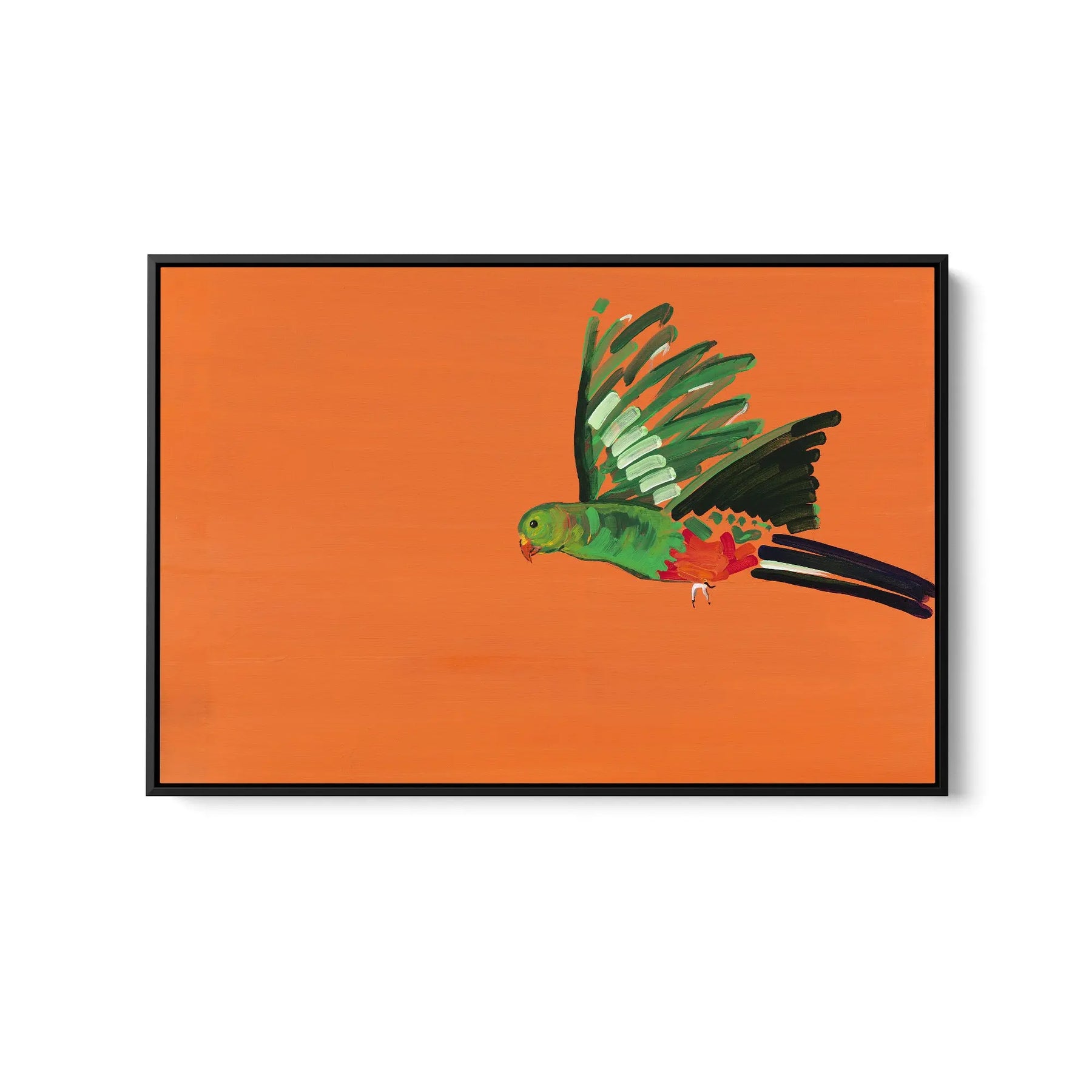 Parrot - Canvas