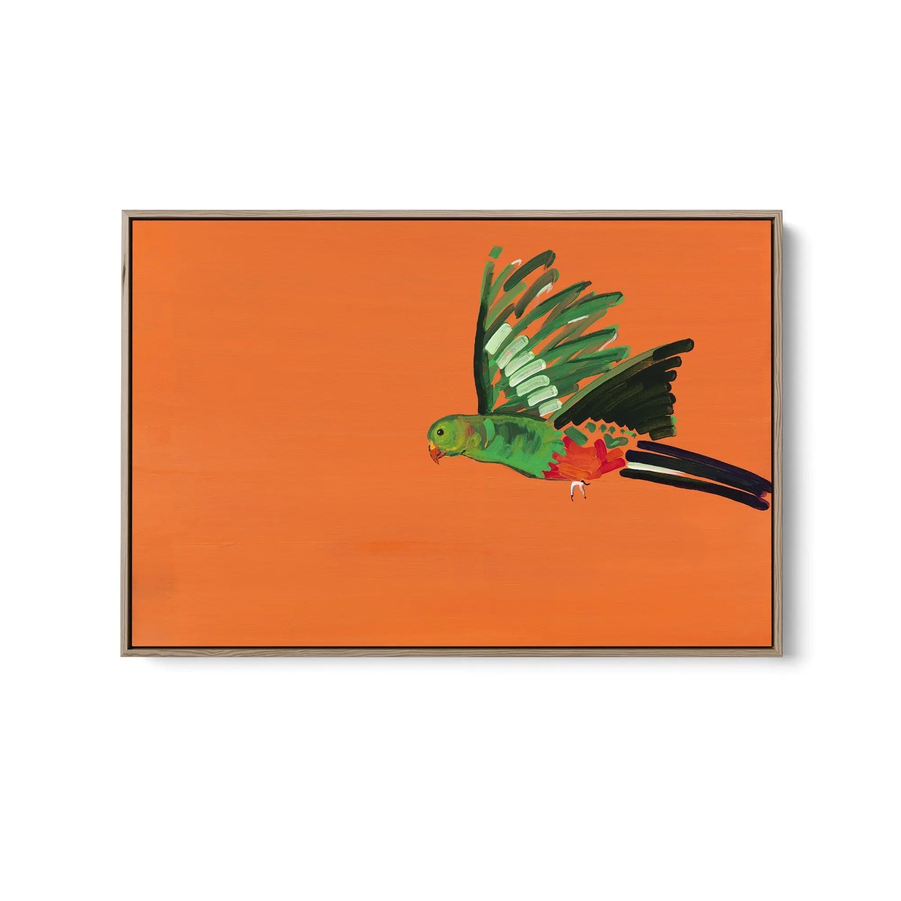 Parrot - Canvas