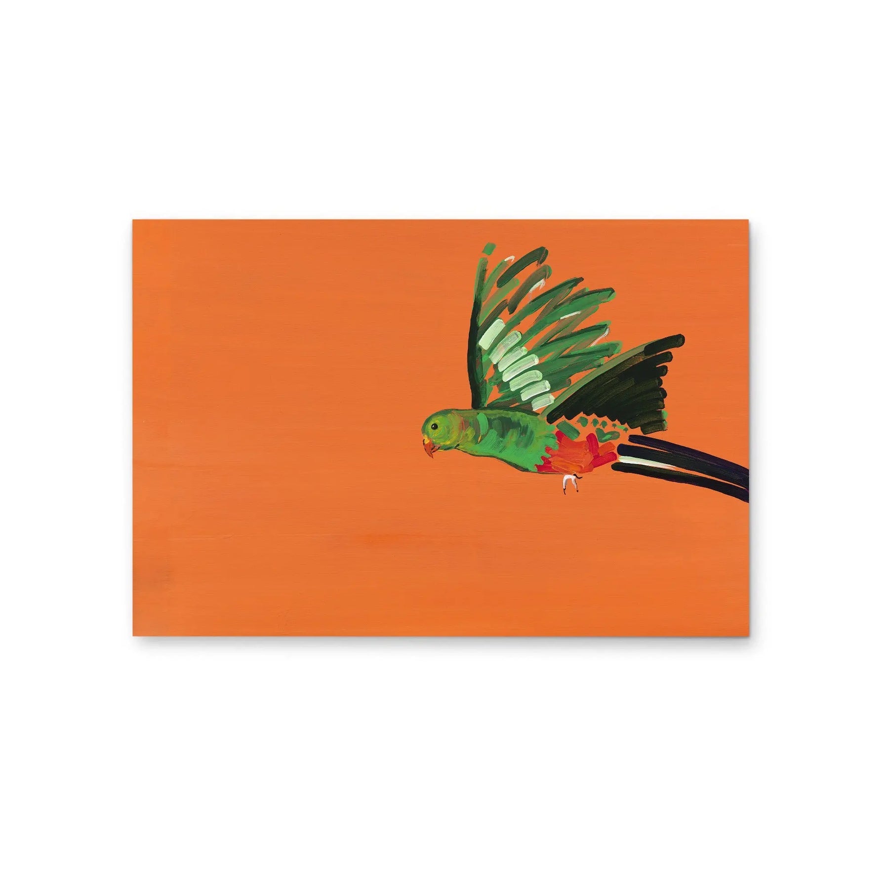 Parrot - Canvas