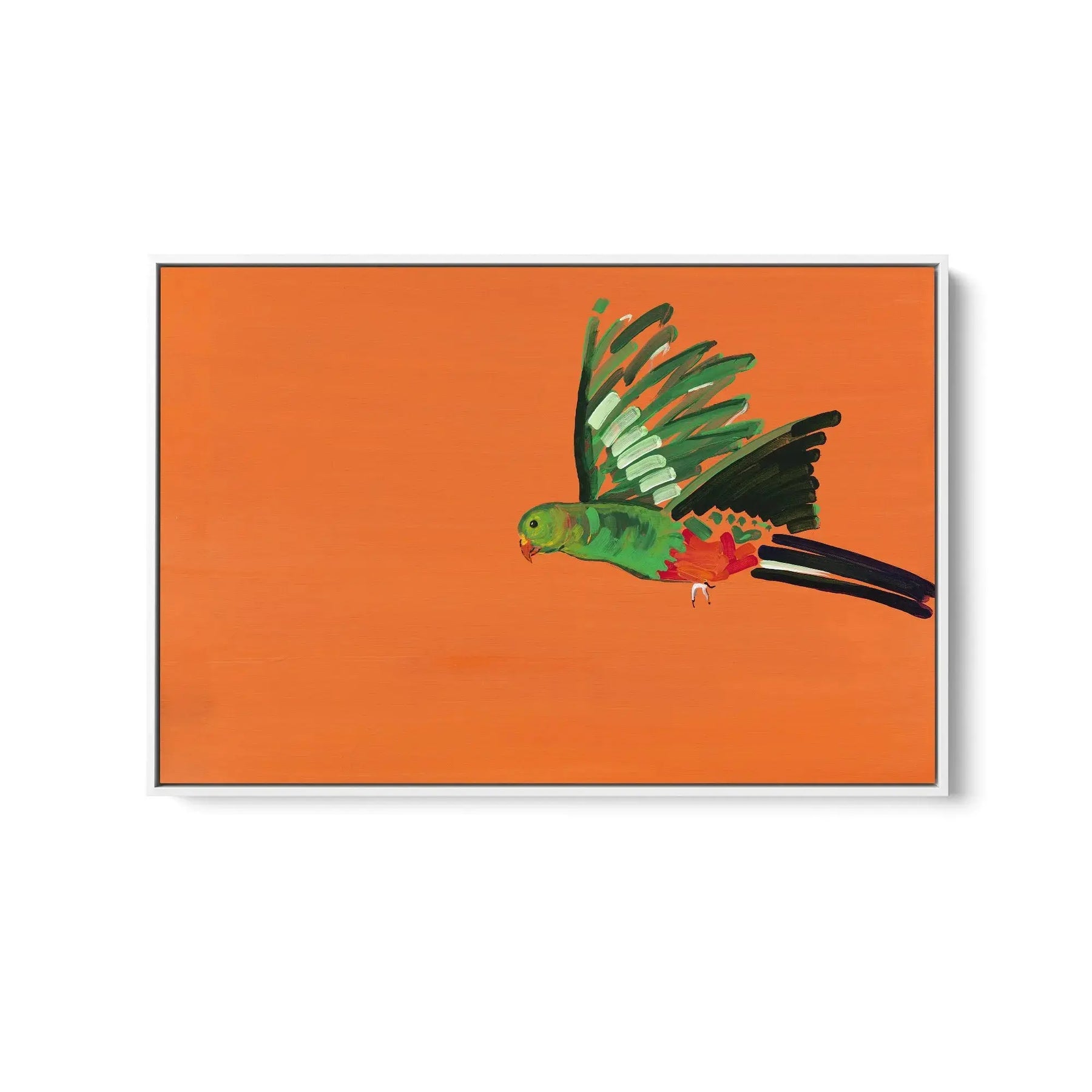 Parrot - Canvas