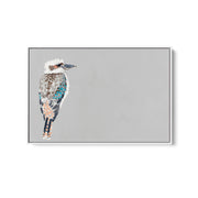 Kookaburra - Canvas