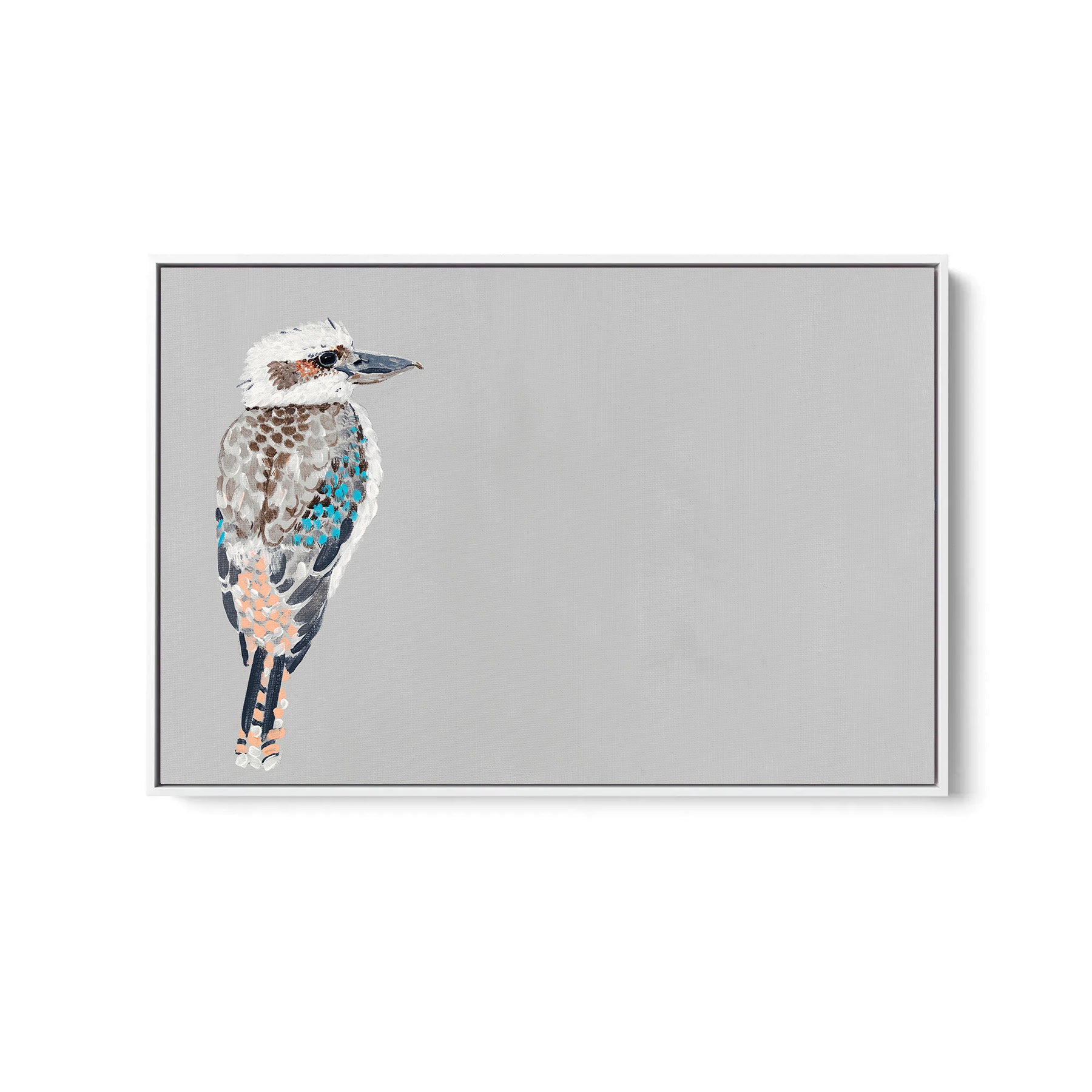 Kookaburra - Canvas