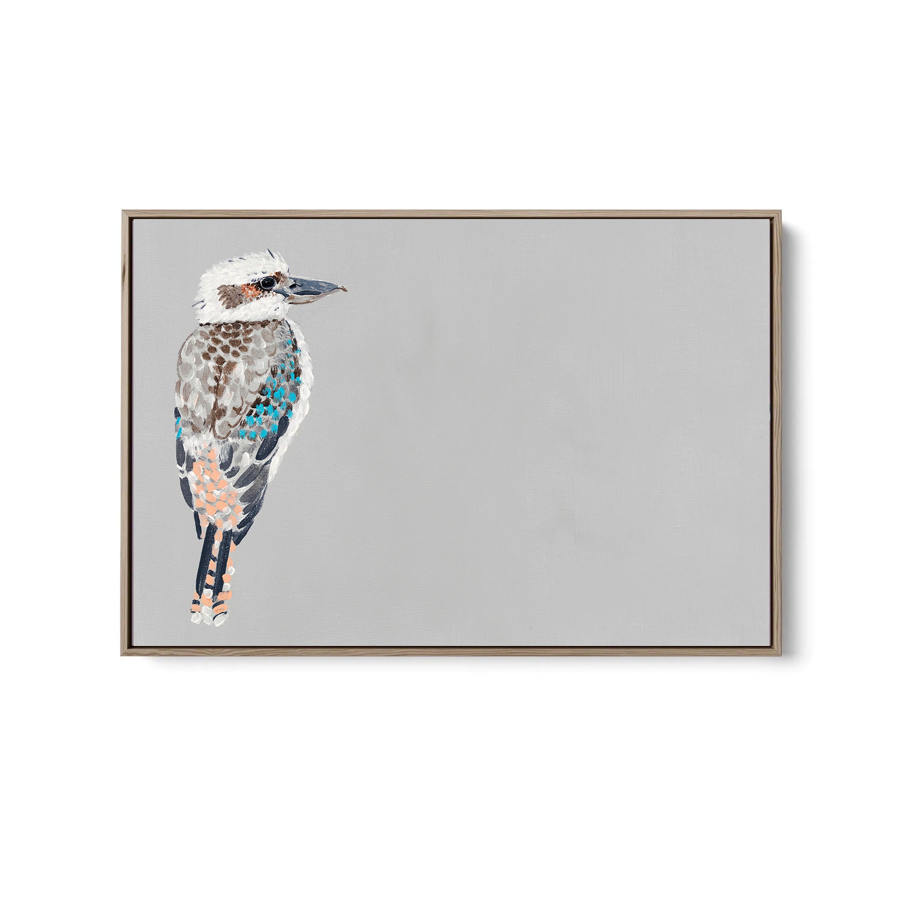 Kookaburra - Canvas