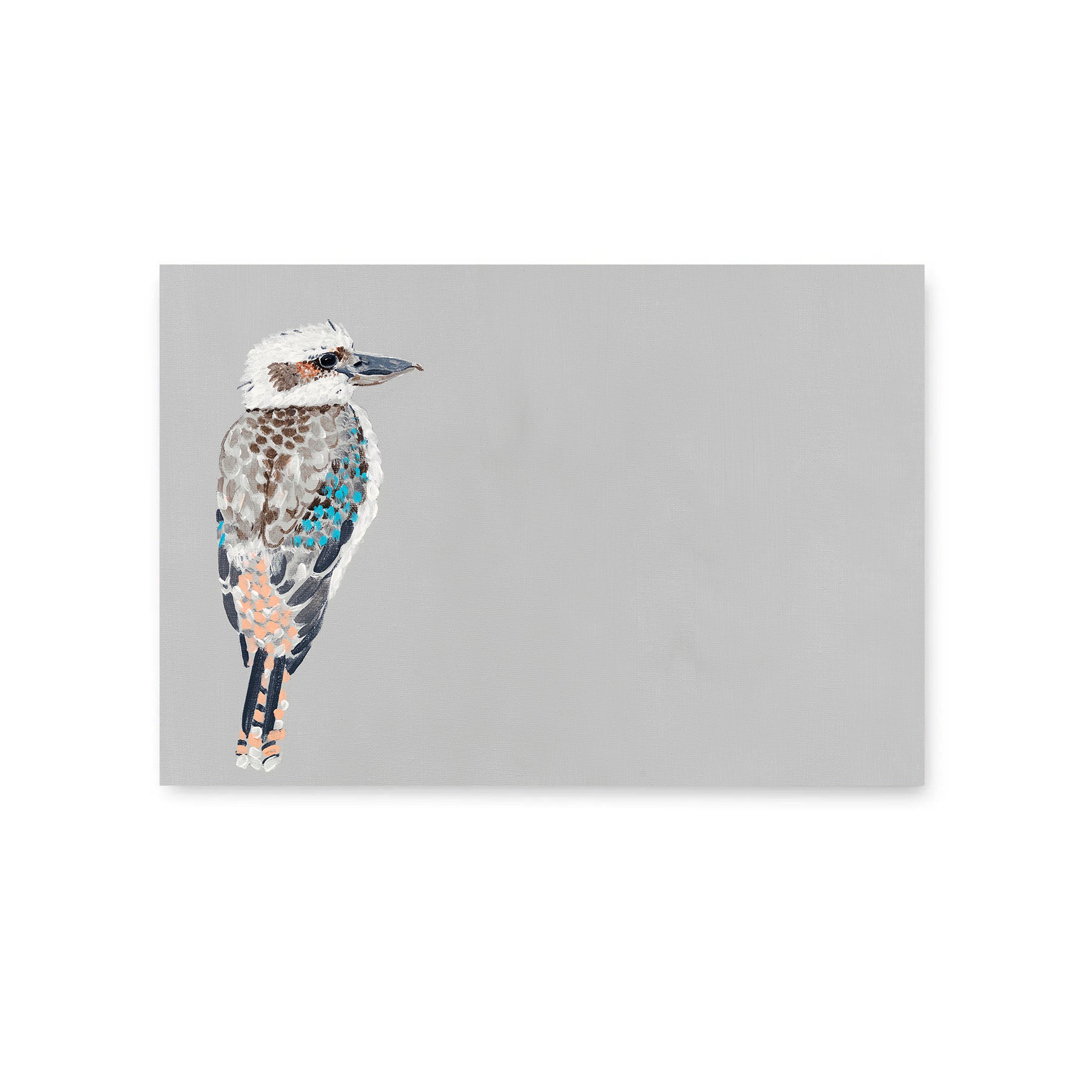 Kookaburra - Fine Art Print