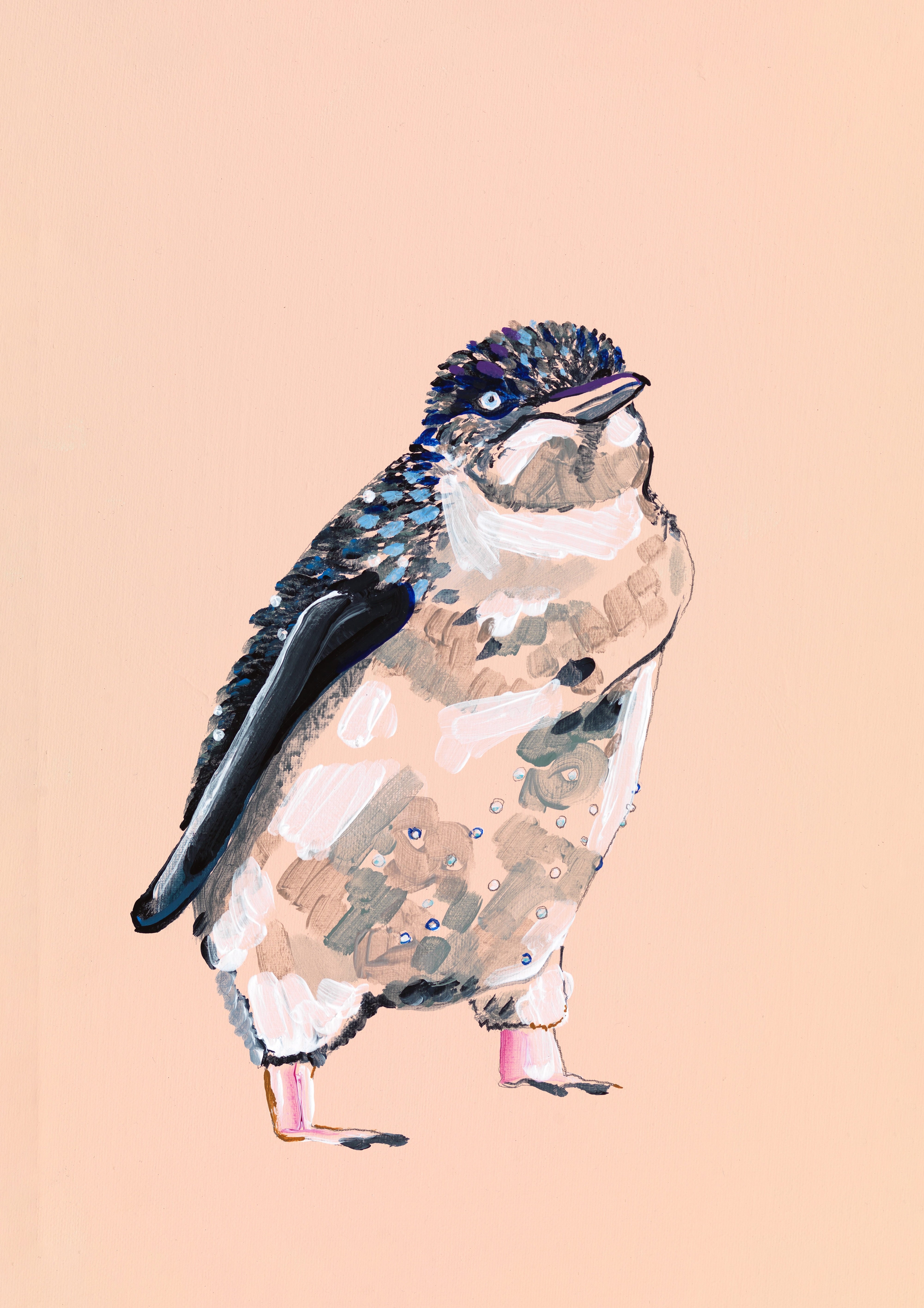 Penguin - Fine Art Print