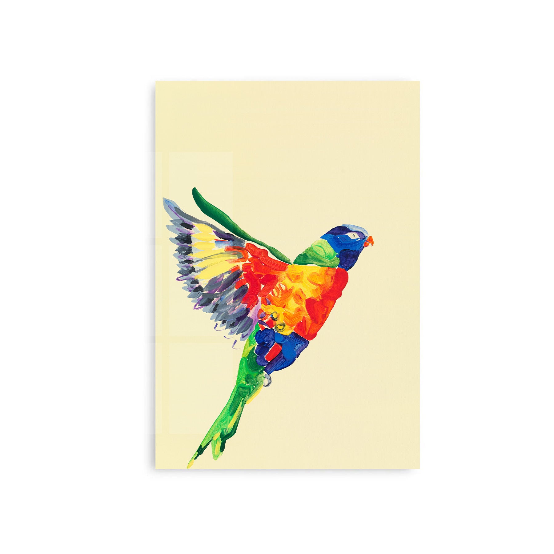 Lorikeet - Fine Art Print