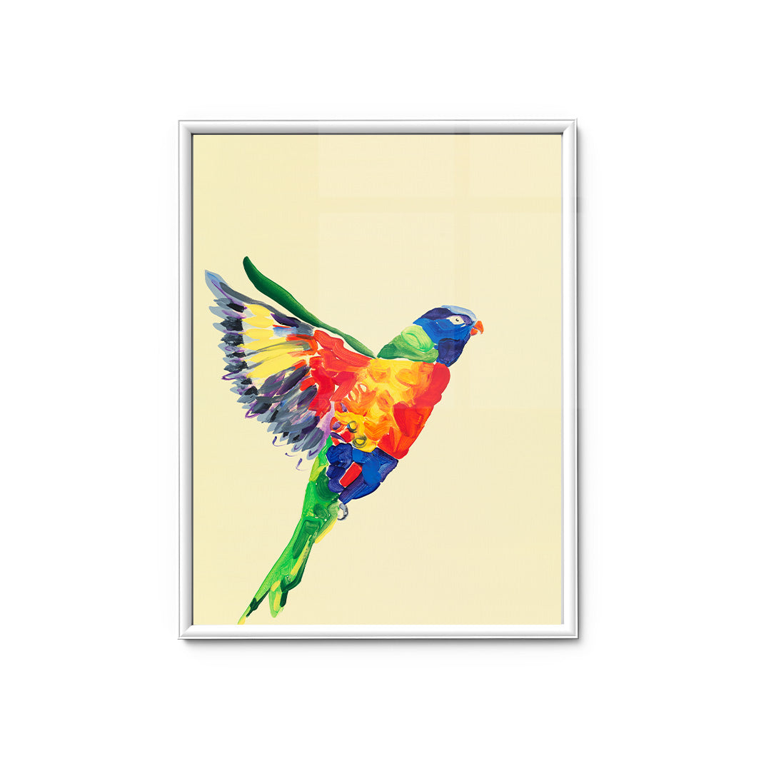 Lorikeet - Fine Art Print