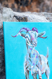 Goat - Fine Art Print