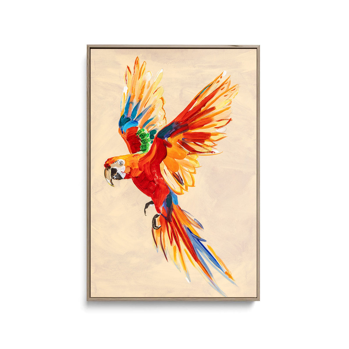 Macaw Parrot - Canvas