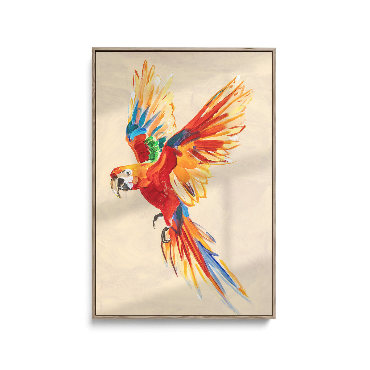 Macaw Parrot - Fine Art Print