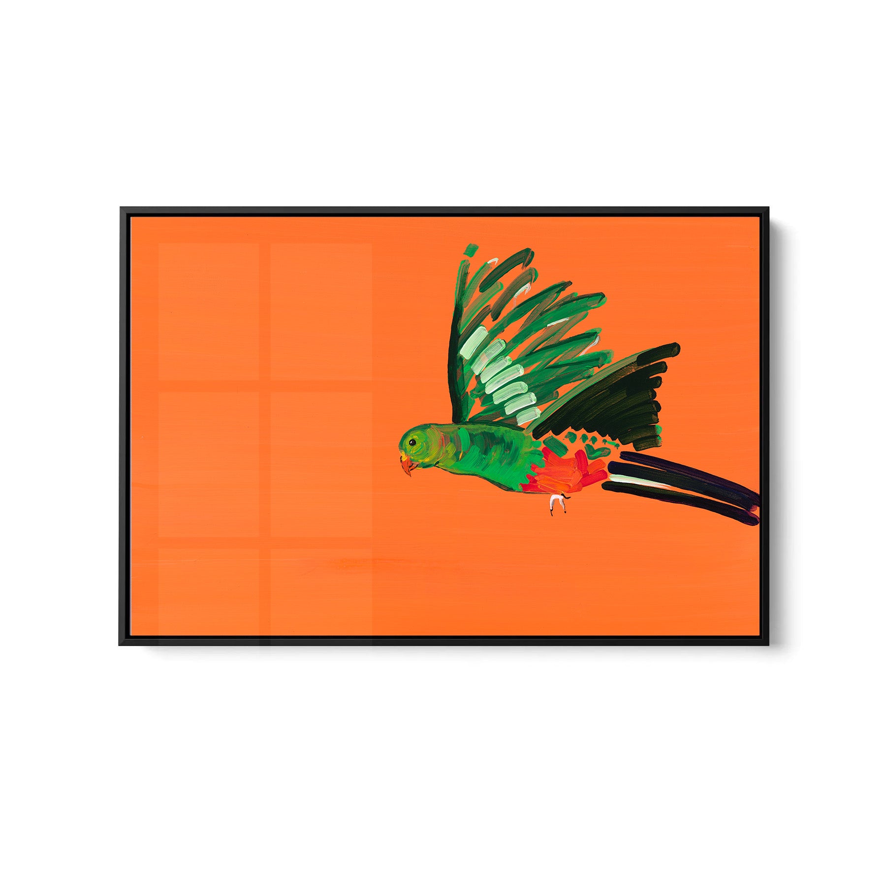 Parrot - Fine Art Print