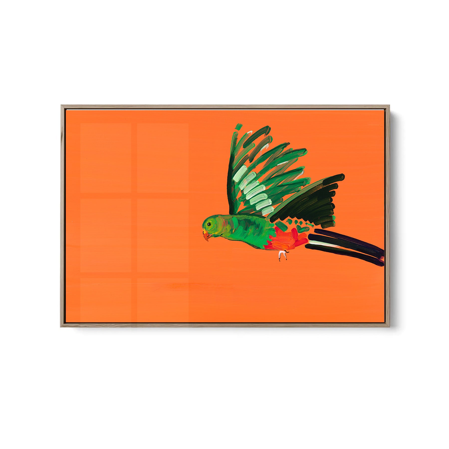 Parrot - Fine Art Print