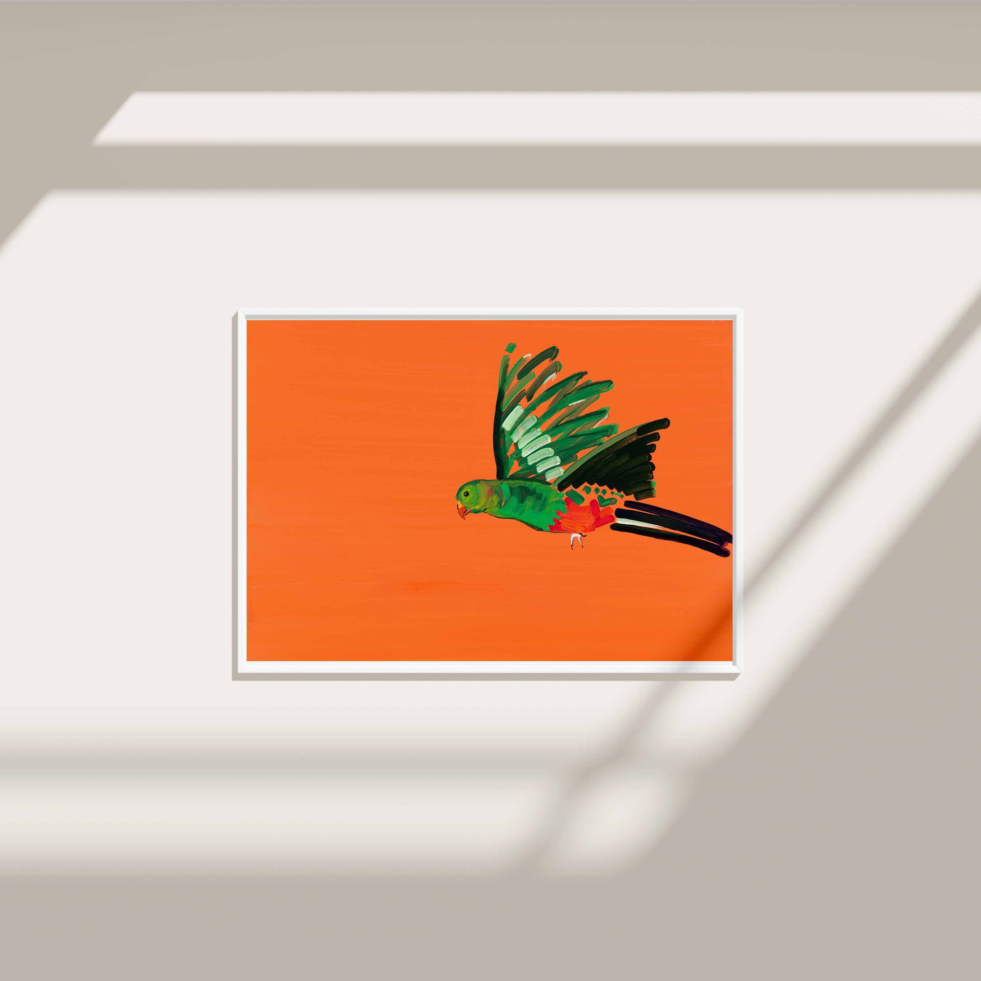 Parrot - Fine Art Print