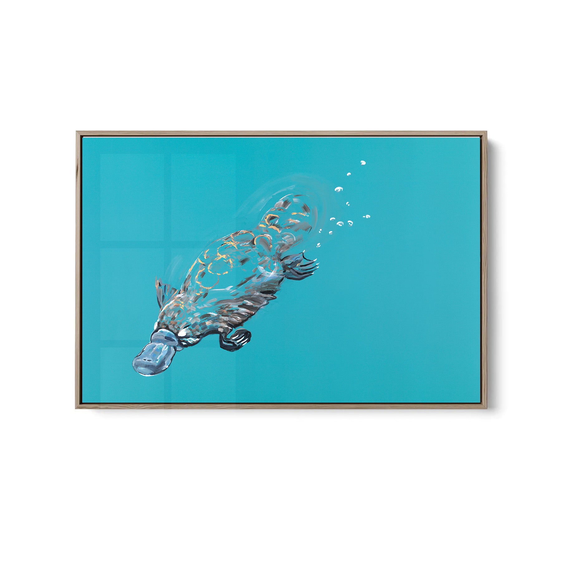 Platypus - Fine Art Print