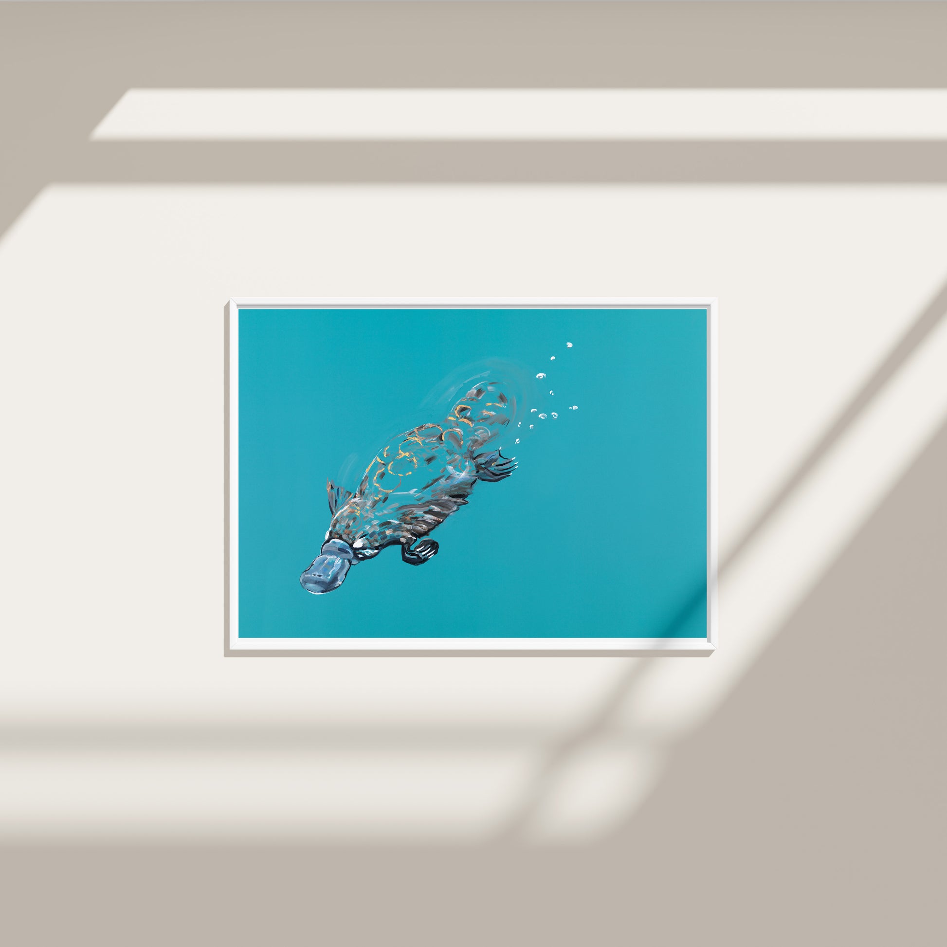 Platypus - Fine Art Print