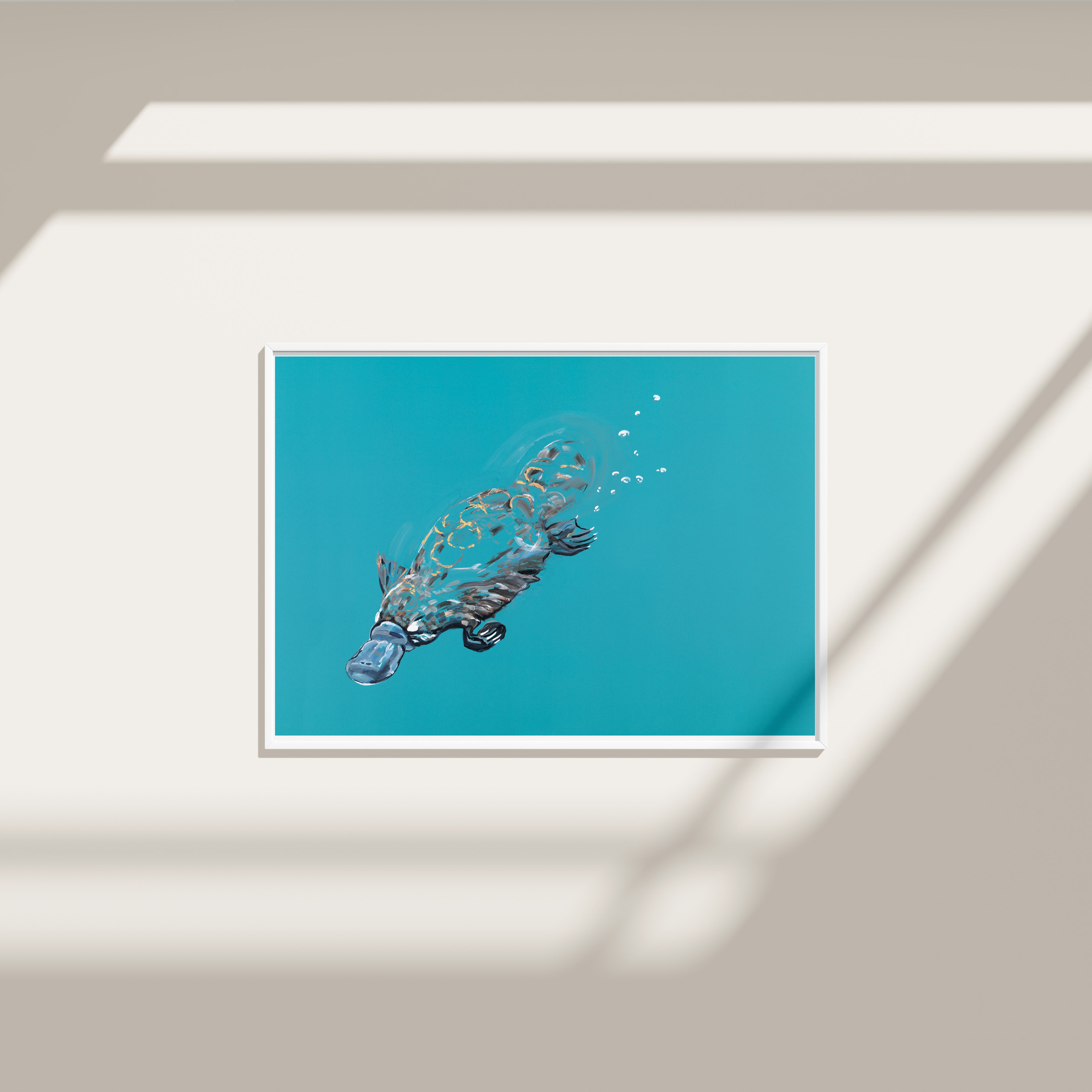 Platypus - Fine Art Print