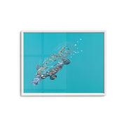 Platypus - Fine Art Print