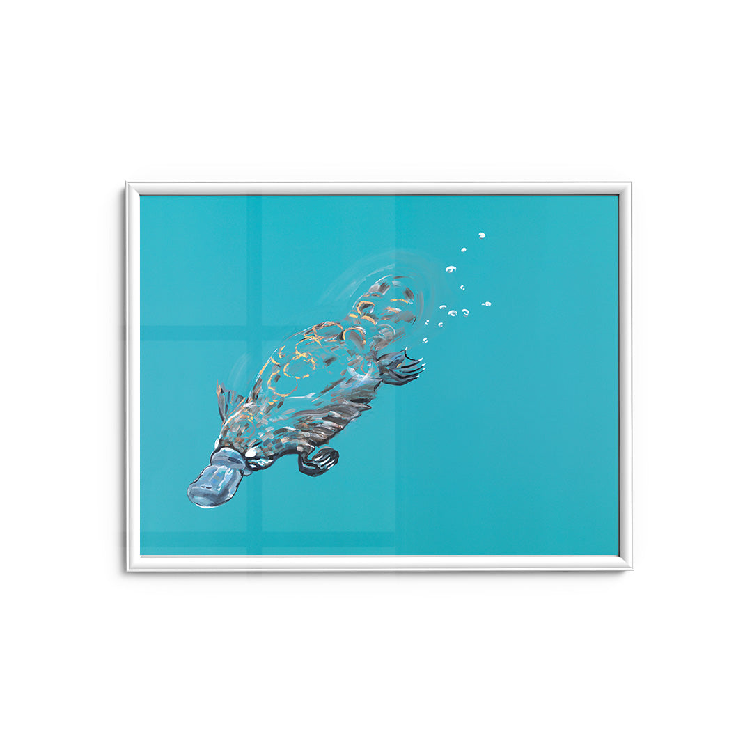 Platypus - Fine Art Print