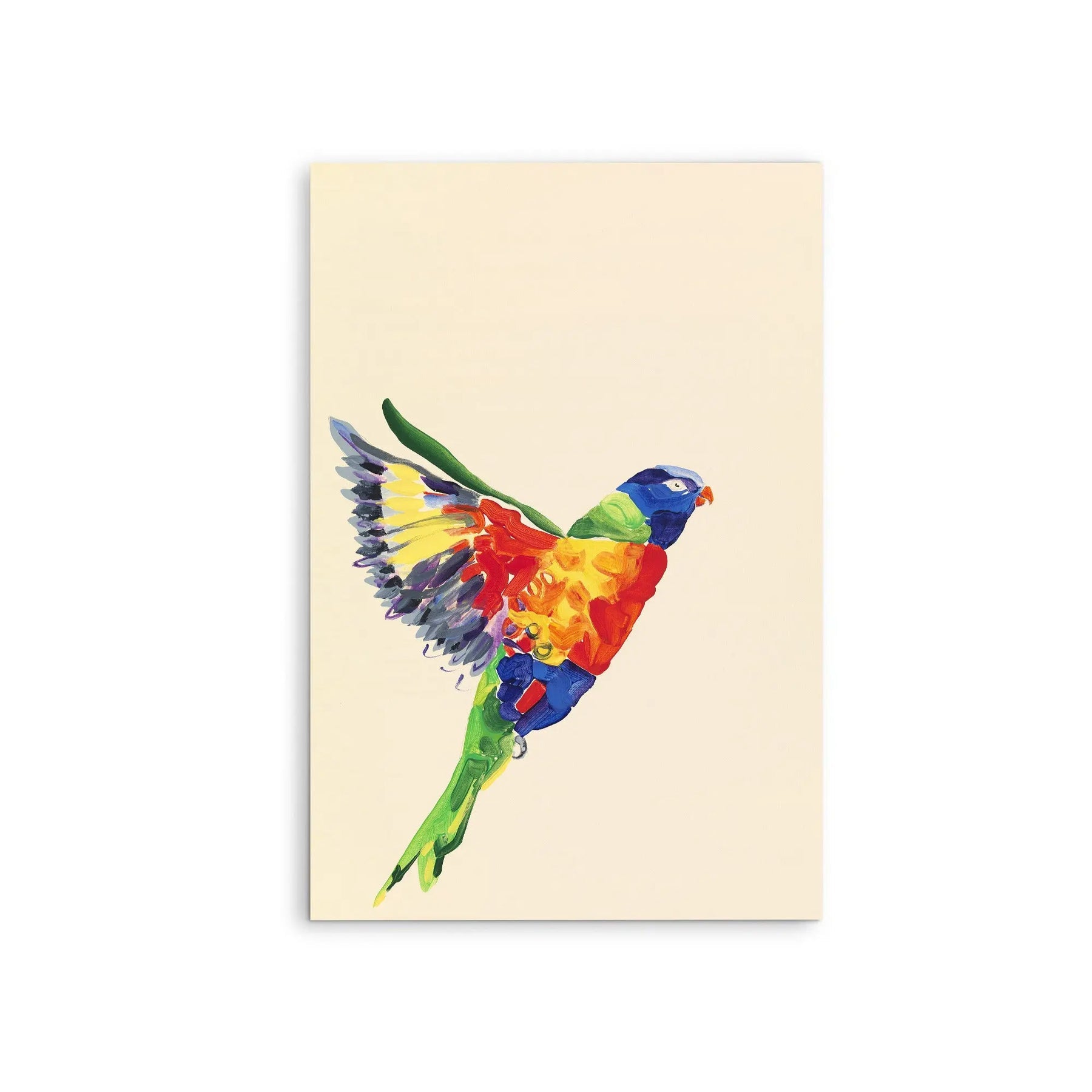 Lorikeet - Canvas