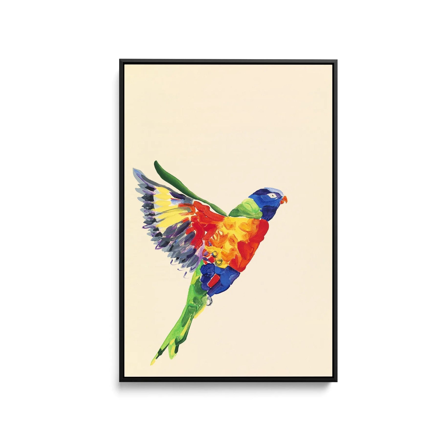 Lorikeet - Canvas