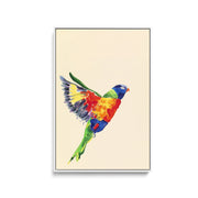 Lorikeet - Canvas