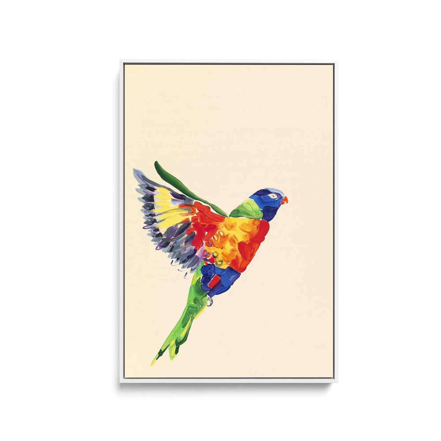 Lorikeet - Canvas