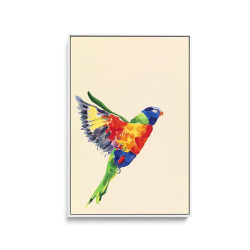 Lorikeet - Canvas