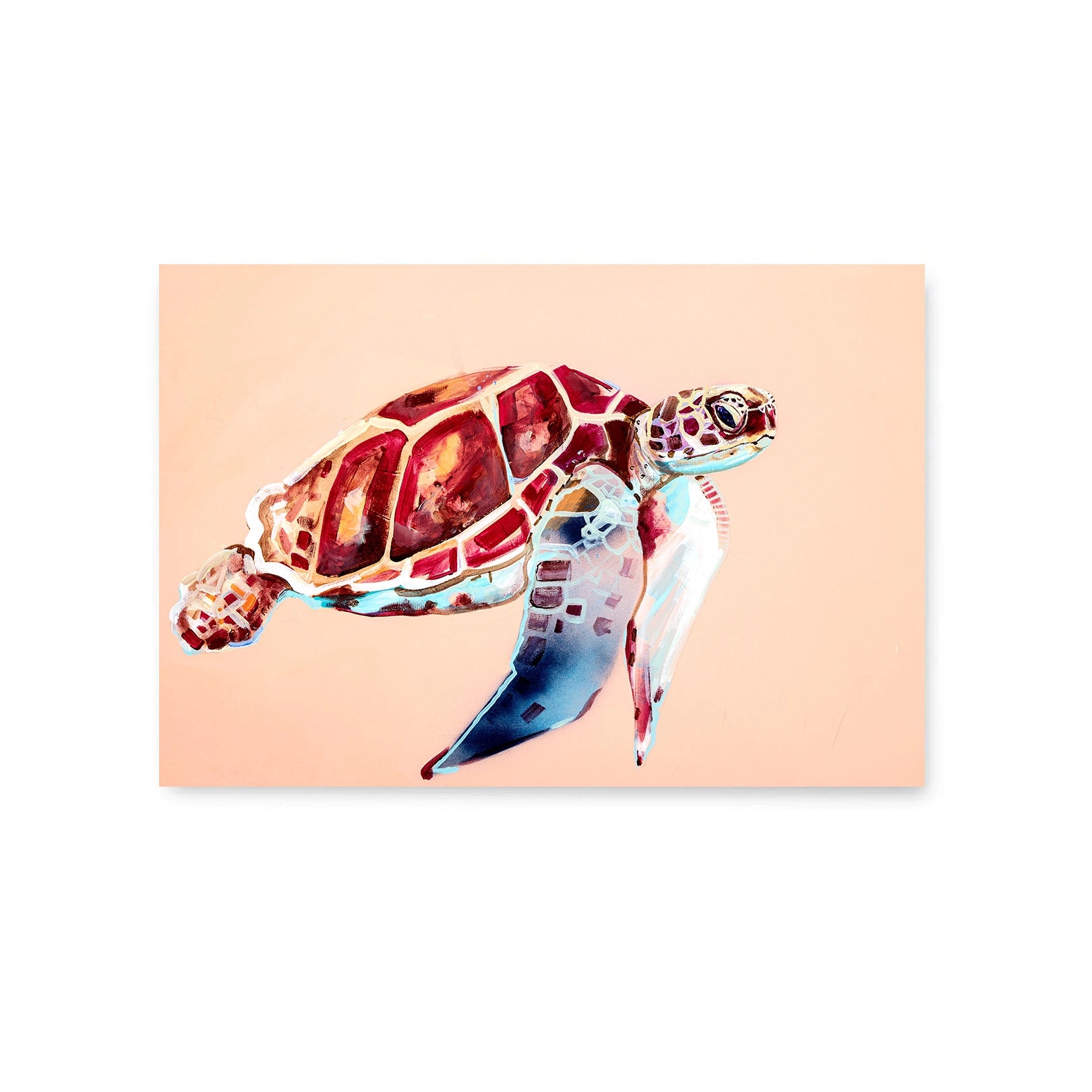 Sea Turtle - Fine Art Print